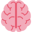 image brain